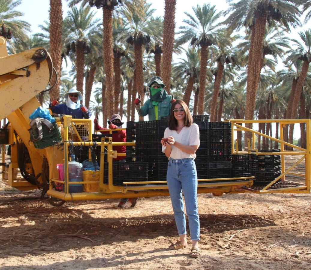 נחל יעלון בית הארחה בקיבוץ קטורה מראה חיצוני תמונה