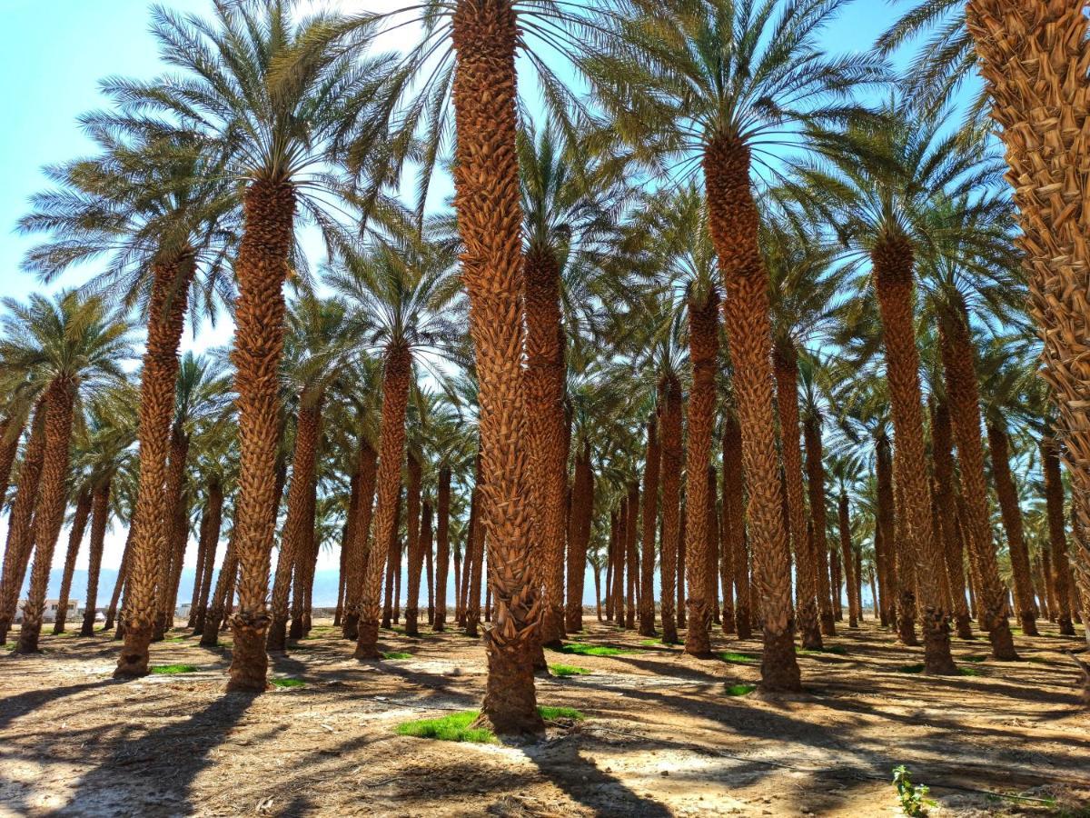 נחל יעלון בית הארחה בקיבוץ קטורה מראה חיצוני תמונה